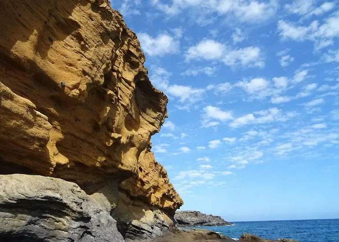 Orion パルム・マール