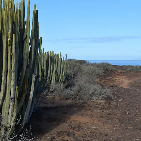 Διαμέρισμα Orion